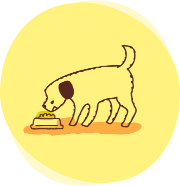 ペットシッター